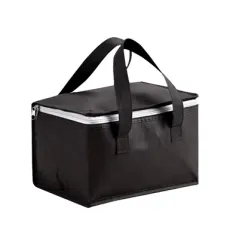 VALISE TRANSPORT