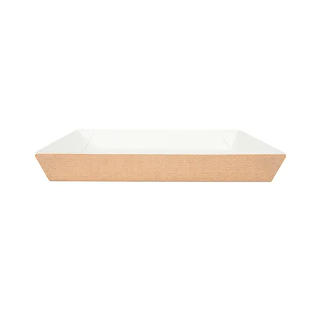 ASSIETTES THEPACK  23x23x2,9 CM NATUREL CARTON NANO-MICRO (400 UNITÉ)