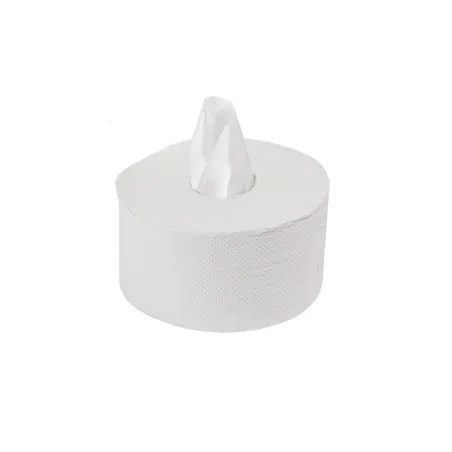 PAPIER TOILETTE ECOLABEL 2 COUCHES  17 G/M2 Ø20x11 CM BLANC OUATE (12 UNITÉ)
