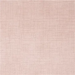 "TÊTE-À-TÊTE" PRÉ. 120CM (20 FEU.) 'DRY COTTON' 55 G/M2 0,40x24 M TERRACOTE AIRLAID (6 UNITÉ)
