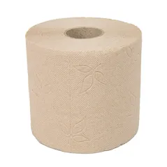 HYGIÉNIQUE 2 PLIS ENVOLOPPÉ INDIV. FEEL GREEN 2x17 G/M2 9 CM (h) x 35 M NATUREL PAPIER RECYCLÉ (48 UNITÉ)