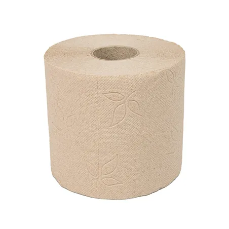 HYGIÉNIQUE 2 PLIS ENVOLOPPÉ INDIV. FEEL GREEN  2x17 G/M2 9 CM (h) x 35 M NATUREL PAPIER RECYCLÉ (48 UNITÉ)