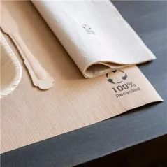 SETS DE TABLE FEEL GREEN  80 G/M2 31x43 CM NATUREL PAPIER RECYCLÉ (1000 UNITÉ)