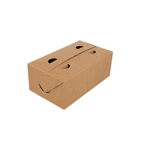 BOÎTES REPAS À EMPORTER