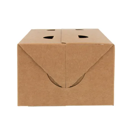 BOÎTES REPAS À EMPORTER  1 L 300 G/M2 11x18x7 CM MARRON CARTON (50 UNITÉ)