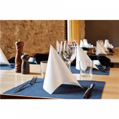 SERVIETTES ECOLABEL DOUBLE POINT  18 G/M2 33x33 CM BLANC OUATE (1200 UNITÉ)