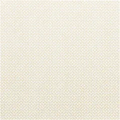 "TÊTE-À-TÊTE" PRE. 120 60 G/M2 0,40x12 M BLANC AIRLAID (6 UNITÉ)
