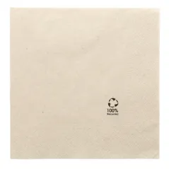 SERVIETTES ECOLABEL 2 PLIS