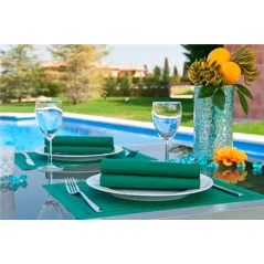 SERVIETTES  55 G/M2 40x40 CM VERT JAGUAR AIRLAID (700 UNITÉ)
