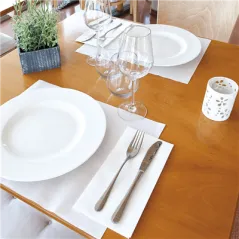SERVIETTES PLIAGE 1/6 45 G/M2 30x40 CM BLANC AIRLAID (900 UNITÉ)