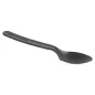 CUILLÈRES 16 CM NOIR CPLA (1000 UNITÉ) CUILLÈRES