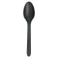 PETITES CUILLÈRES 12,7 CM NOIR CPLA (2000 UNITÉ) PETITES CUILLÈRES