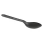 PETITES CUILLÈRES 12,7 CM NOIR CPLA (2000 UNITÉ) PETITES CUILLÈRES