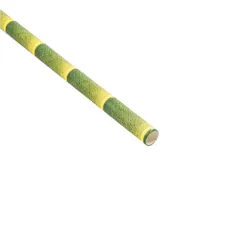 PAILLES DROITES BAMBOU STAMPÉ