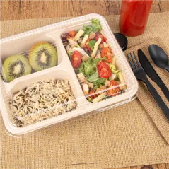 PLATEAUX 3 COMPART + COUVERCLE PET