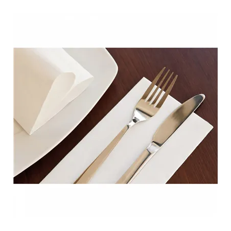 SERVIETTES ECOLABEL P. 1/6 DOUBLE POINT  18 G/M2 30x40 CM BLANC OUATE (1500 UNITÉ)