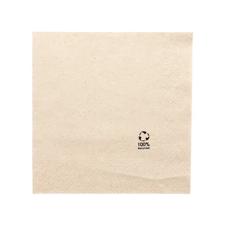 SERVIETTES ECOLABEL 2 PLIS