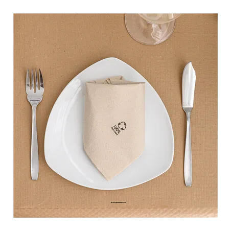 SERVIETTES ECOLABEL 2 PLIS FEEL GREEN  18 G/M2 30x30 CM NATUREL OUATE RECYCLÉE (2400 UNITÉ)