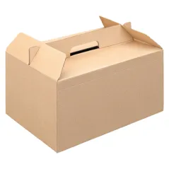 BOÎTES TRANSPORT DE REPAS