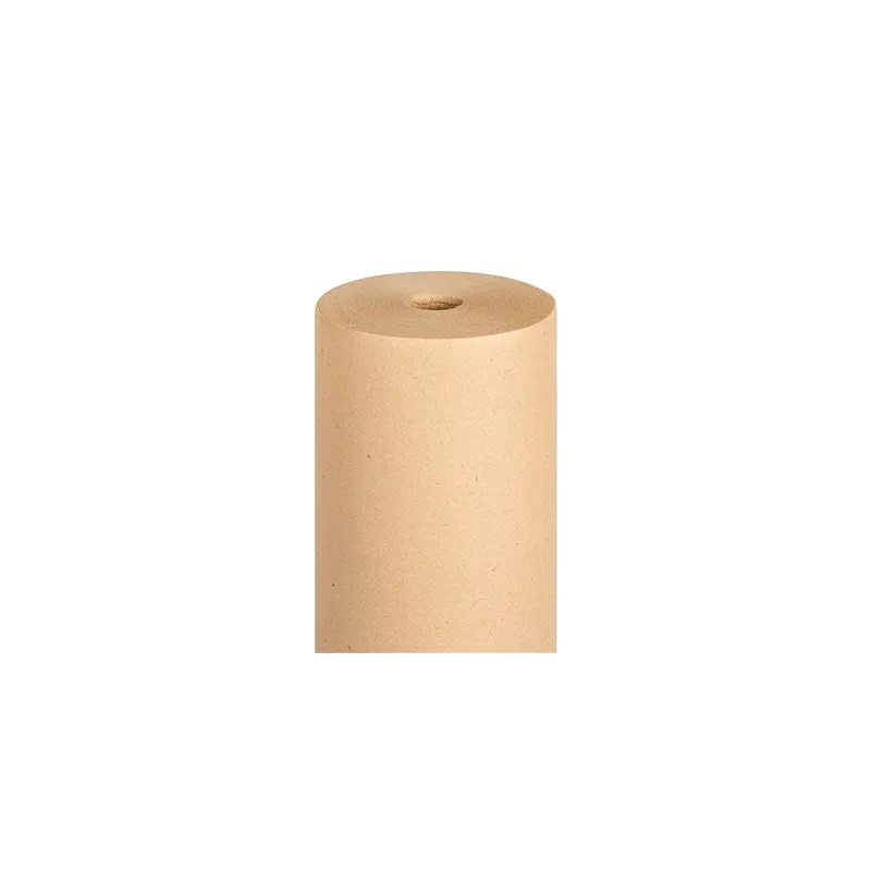 "TÊTE-À-TÊTE" PRÉ. 120CM (20 FEU.)  55 G/M2 0,40x24 M NATUREL AIRLAID (6 UNITÉ)