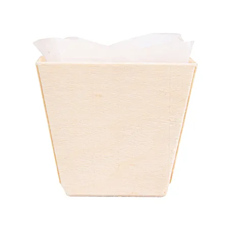 300 U. CORNETS + MOULES EN SILICONE WOOD 50 ML 5x5x4,5 CM NATUREL BOIS (300 UNITÉ)
