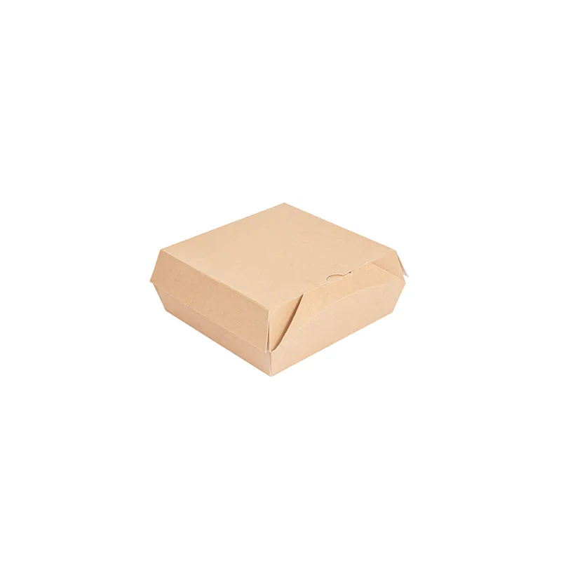 BOÎTES "LUNCH BOX" THEPACK  21x20,5x8 CM NATUREL CARTON NANO-MICRO (300 UNITÉ)