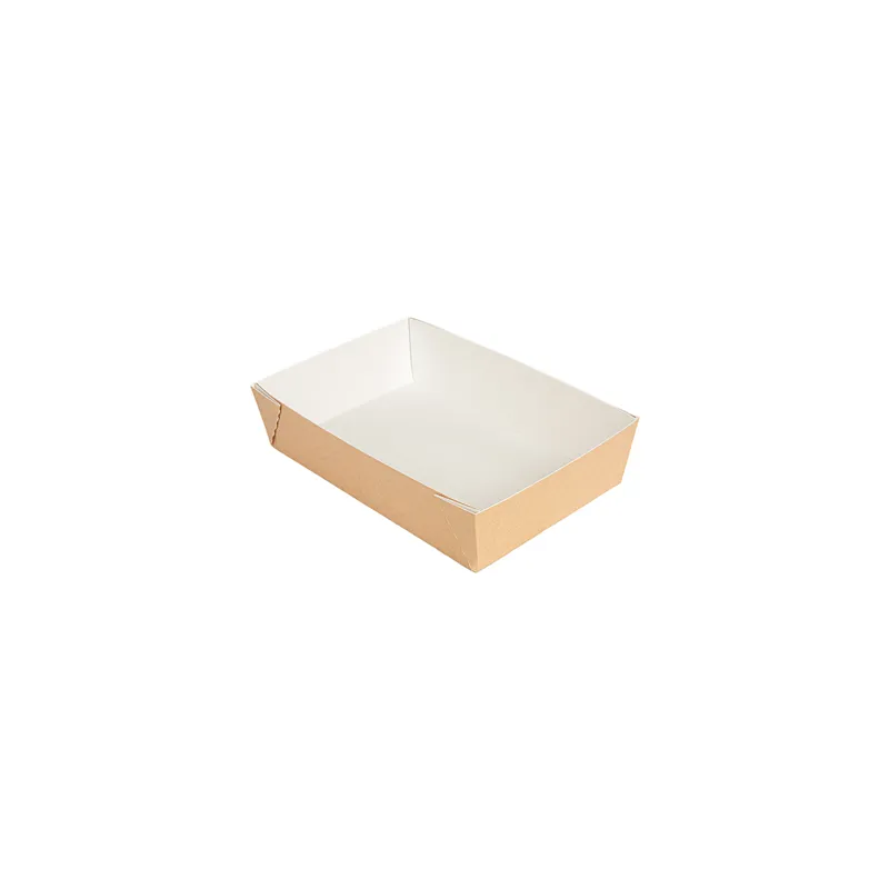 BOÎTES THEPACK  22x15x5 CM NATUREL CARTON NANO-MICRO + PP (200 UNITÉ)