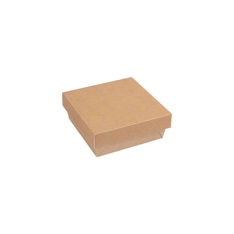 PETITES BOÎTES+COUVERCLES THEPACK 500 ML 12x12x5 CM NATUREL CARTON NANO-MICRO + PP (250 UNITÉ)
