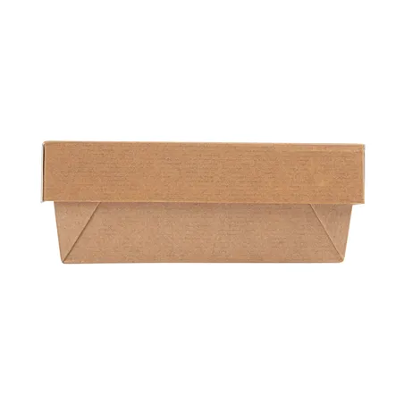 PETITES BOÎTES+COUVERCLES THEPACK 500 ML 12x12x5 CM NATUREL CARTON NANO-MICRO + PP (250 UNITÉ)