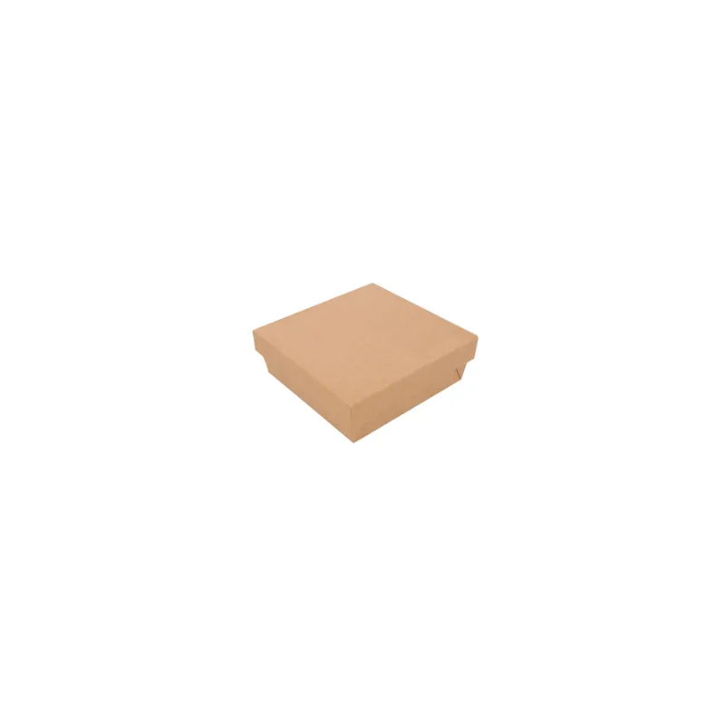 PETITES BOÎTES+COUVERCLES THEPACK 750 ML 14x14x5 CM NATUREL CARTON NANO-MICRO + PP (250 UNITÉ)