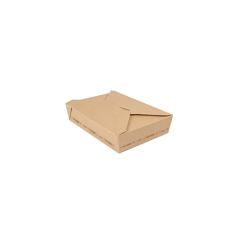 BOÎTES AMÉRICAINES MICRO-ONDABLES THEPACK 1470 ML 220 G/M2 19,6x14x4,5 CM NATUREL CARTON NANO-MICRO (300 UNITÉ)