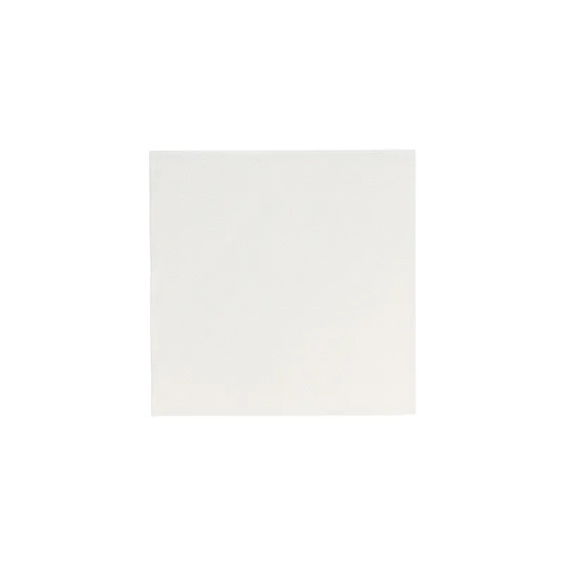SERVIETTES DOUBLE POINT  18 G/M2 20x20 CM BLANC OUATE (2400 UNITÉ)