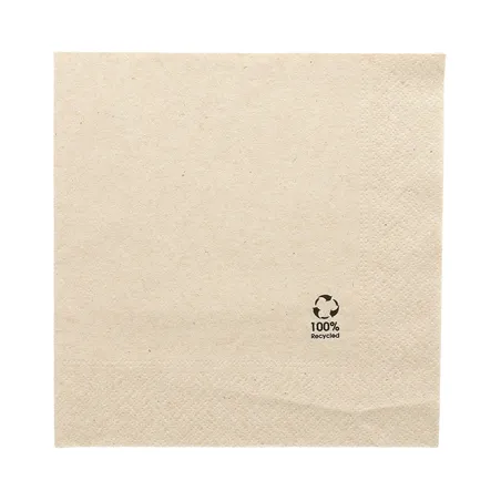 SERVIETTES ECOLABEL 2 PLIS