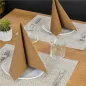 SERVIETTES ECOLABEL