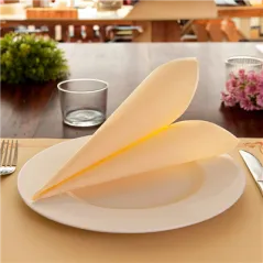 SERVIETTES ECOLABEL