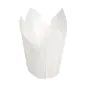 MUFFIN CUPS TULIP