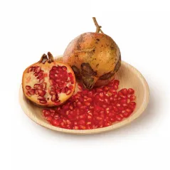 ASSIETTES RONDES