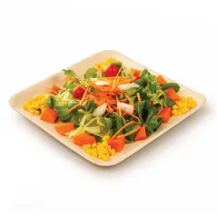 ASSIETTES CARRÉES