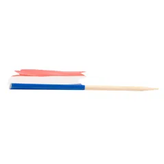 PETITS DRAPEAUX - FRANCE