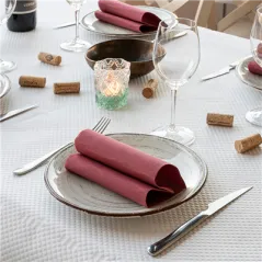 SERVIETTES ECOLABEL