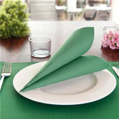 SERVIETTES ECOLABEL