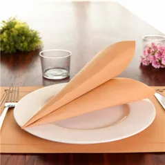 SERVIETTES ECOLABEL