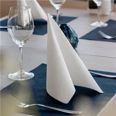 SERVIETTES ECOLABEL