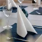 SERVIETTES ECOLABEL