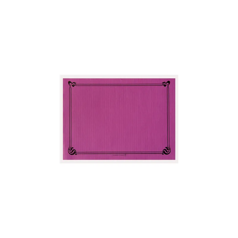 SETS DE TABLE  48 G/M2 31x43 CM PRUNE CELLULOSE (2000 UNITÉ)