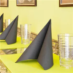 SERVIETTES ECOLABEL