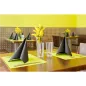 SERVIETTES ECOLABEL