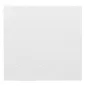 SERVIETTES ECOLABEL 1 PLI 20 G/M2 30x30 CM BLANC OUATE (2400 UNITÉ) SERVIETTES ECOLABEL 1 PLI