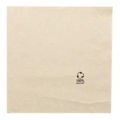 SERVIETTES ECOLABEL 2 PLIS