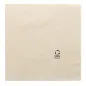 SERVIETTES ECOLABEL 2 PLIS